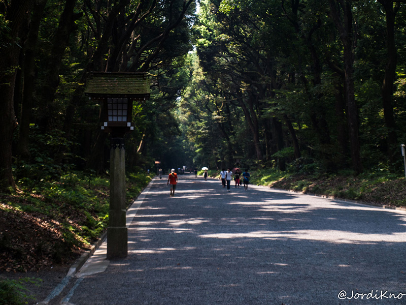 Larga avenida que cruza el parque hasta la entrada de Harajuku